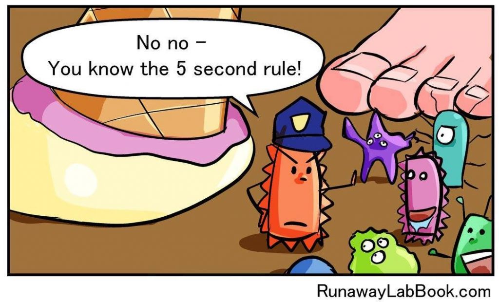 bacteria five second rule